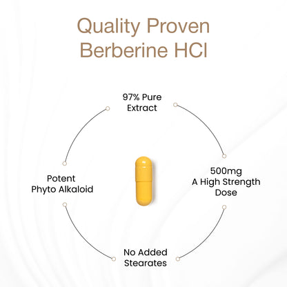 Berberine HCl - Capsules 60 Ct