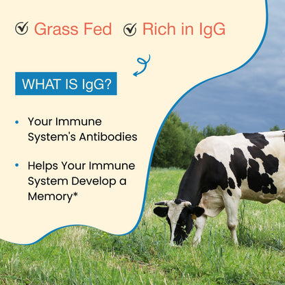 Bovine Colostrum Powder – Cow’s Nutrient-Rich “First Milk” with High IgG