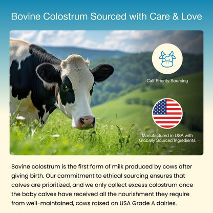 Bovine Colostrum Powder – Cow’s Nutrient-Rich “First Milk” with High IgG