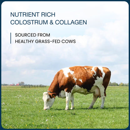 Colostrum with Collagen & Digestive Enzymes  Powder