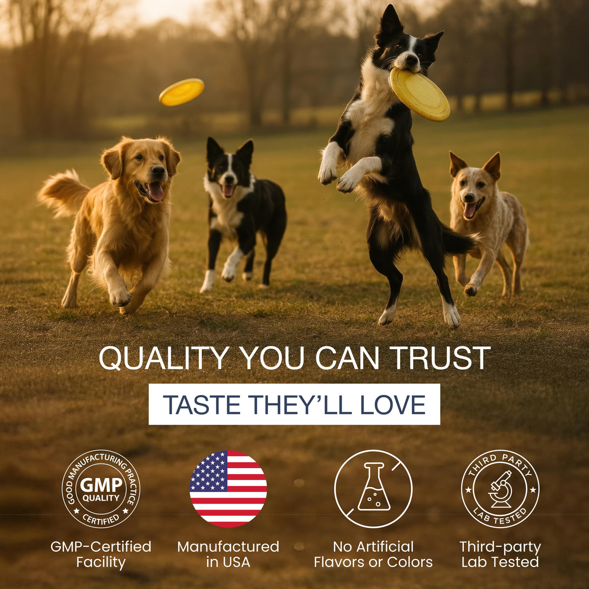 Sandhu's Pets Hip & Joint Support Chewable Tablets for Dogs – 120 Ct