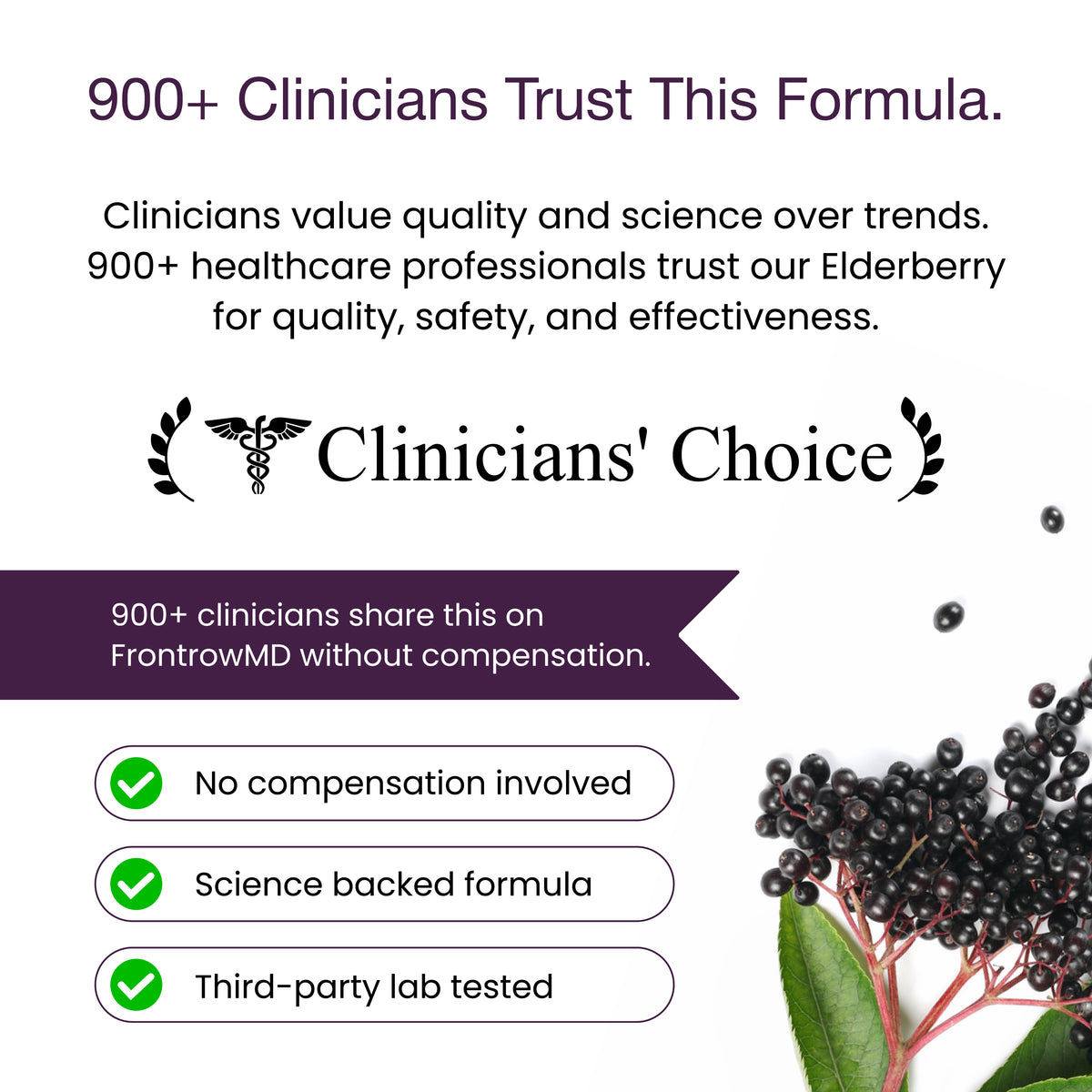 Elderberry With Vitamin D3, Quercetin, Zinc