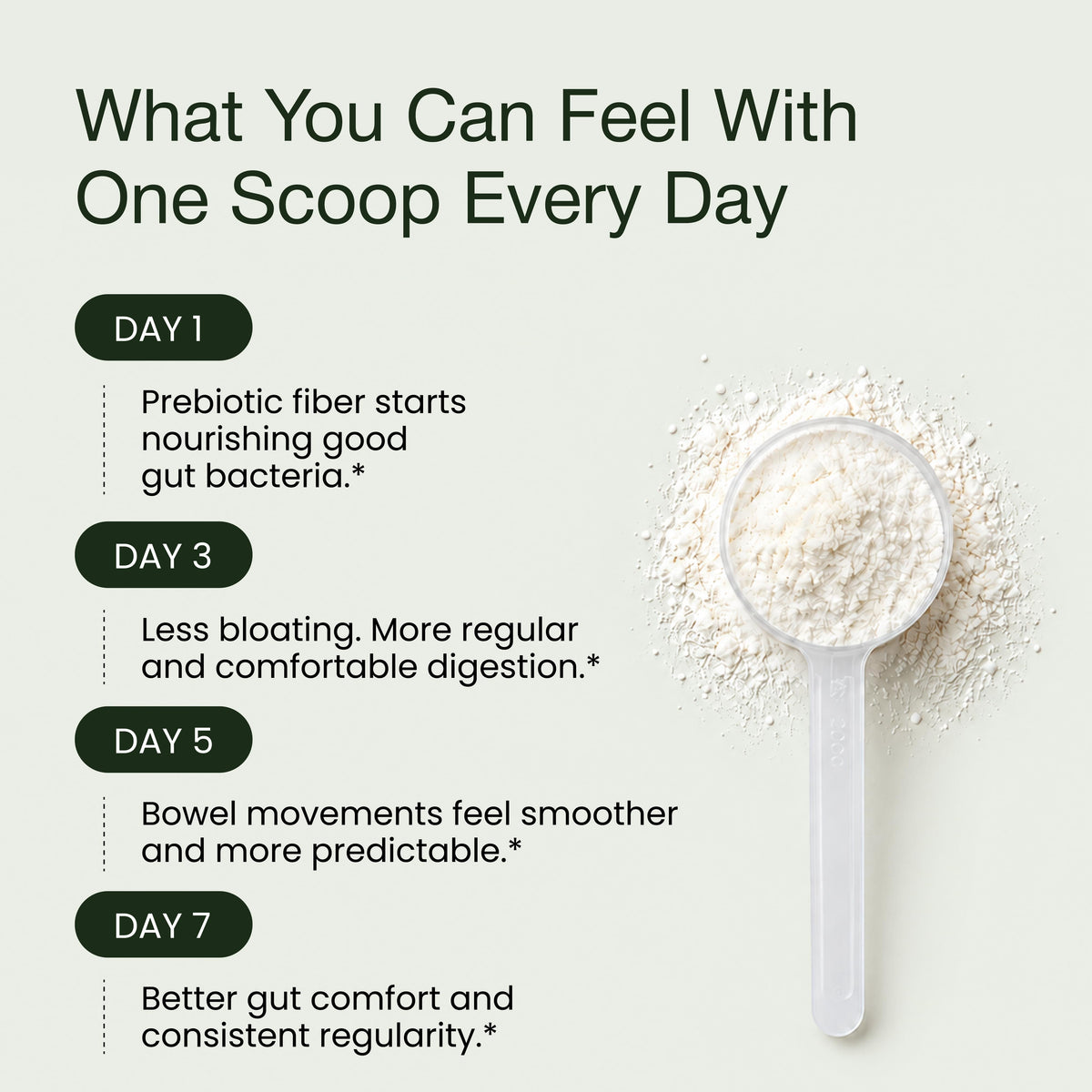 Fiber+ Prebiotic Fiber Boost