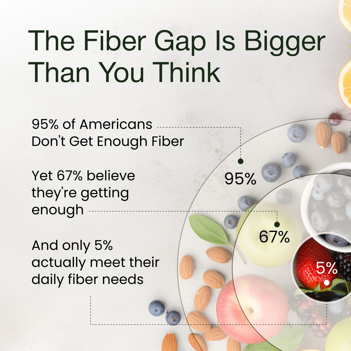 Fiber+ Prebiotic Fiber Boost