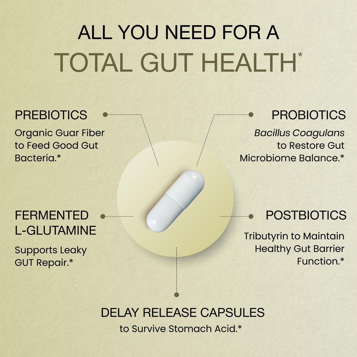 GUT Health Capsules