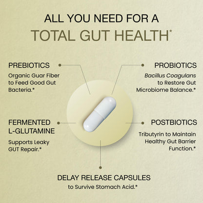GUT Health Capsules