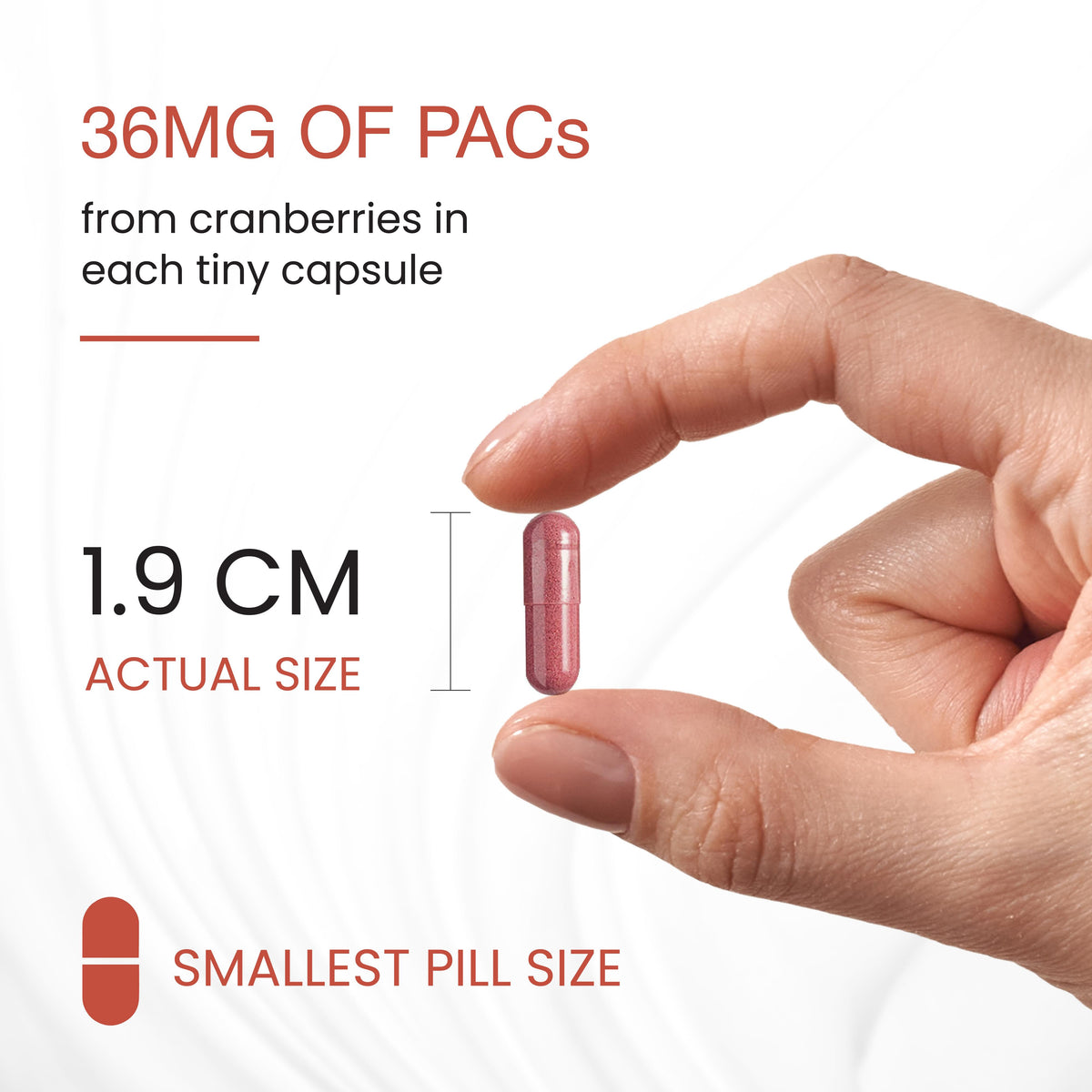 URIPAC Cranberry Fruit Extract - Capsules 35 Ct