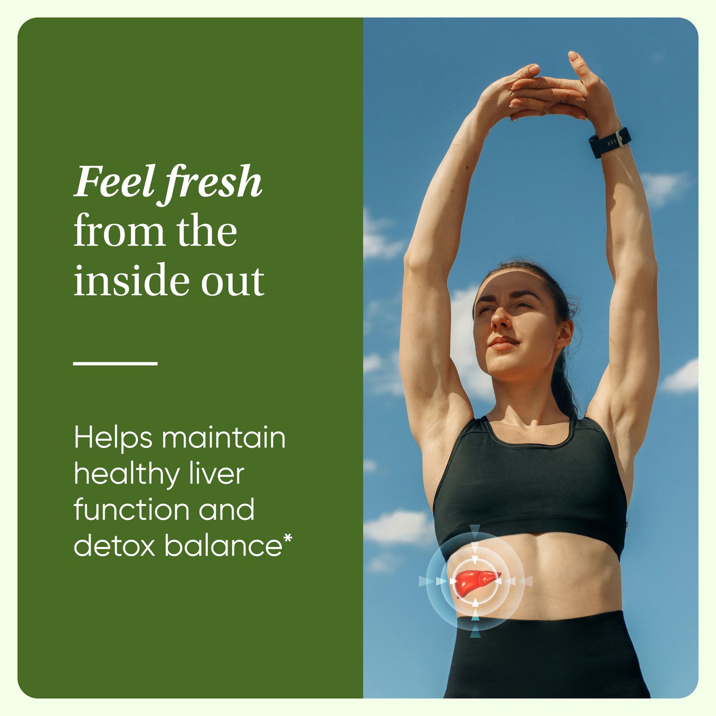 Zeolite Detox Capsules