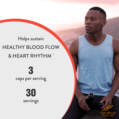 healthy-blood-flow-heart-rhythm-sp-0080